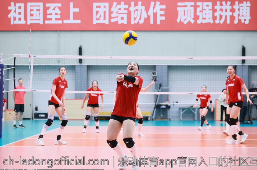 乐动体育app官网入口的社区互动功能介绍